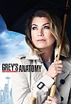 Anatomia de Grey (12ª Temporada)